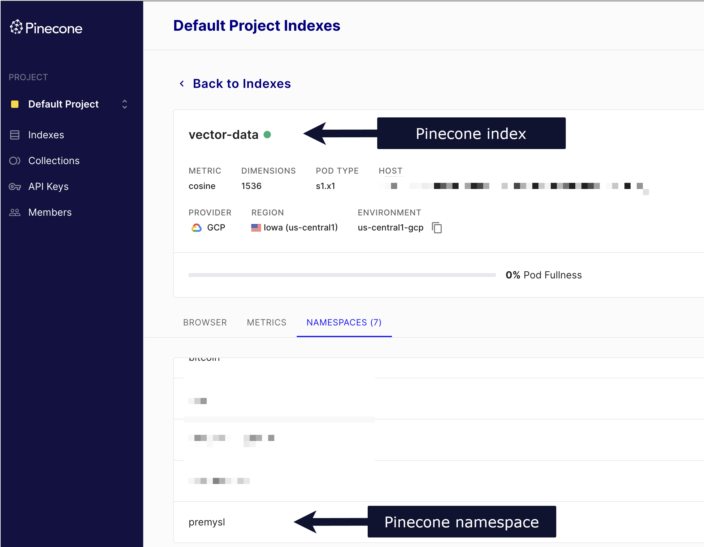 Pinecone 帐户的屏幕截图,标有 Pinecone 索引